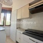 Rent 1 bedroom apartment of 35 m² in Anzio