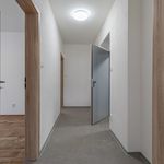 Rent 3 bedroom apartment of 66 m² in Litvinov