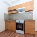 Rent 1 bedroom apartment of 54 m² in Úpice