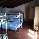 Rent 1 bedroom house of 20 m² in Fucecchio