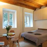 Rent 1 bedroom apartment of 35 m² in Milan