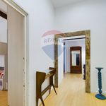 Rent 5 bedroom apartment of 90 m² in Viterbo
