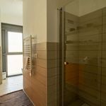 Rent 4 bedroom apartment of 155 m² in Milano