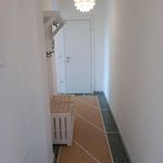 Rent 3 bedroom apartment of 75 m² in Pisa