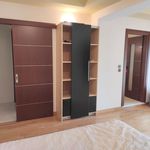 Ενοικίαση 3 υπνοδωμάτιο διαμέρισμα από 230 m² σε Vathy