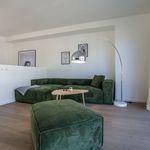 Rent 4 bedroom apartment of 138 m² in Cologne