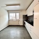 Rent 5 bedroom apartment in Porrentruy