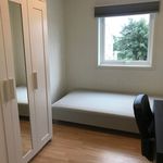 Rent a room of 56 m² in Trondheim