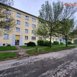 Rent 1 bedroom apartment of 19 m² in Karviná