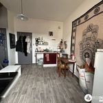Rent 1 bedroom apartment of 25 m² in Albi