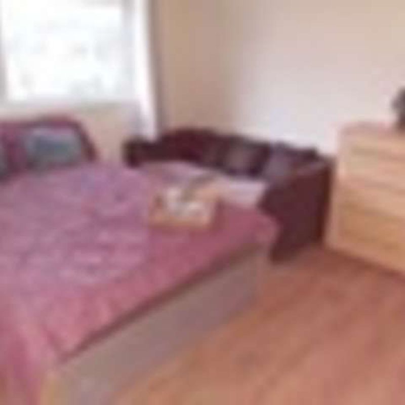 Charming room for rent in Roehampton, London