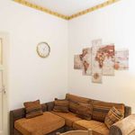 Affitto 1 camera appartamento in Roma