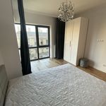 Rent 3 bedroom apartment of 75 m² in Łódź