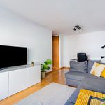 Rent 1 bedroom apartment of 45 m² in Lisboa
