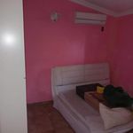 Affitto 2 camera appartamento di 40 m² in Zagarolo