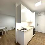 Rent 1 bedroom apartment of 2823 m² in Zlín