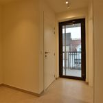 Appartement de 113 m² avec 3 chambre(s) en location à Dendermonde