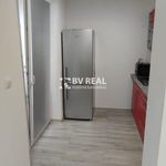 Rent 1 bedroom apartment of 38 m² in Boží Dar
