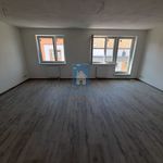 Rent 1 bedroom apartment of 50 m² in Plzeň