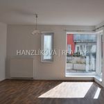Rent 1 bedroom apartment of 34 m² in České Budějovice