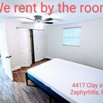 Rent 4 bedroom house in Zephyrhills