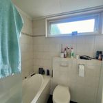 Rent 3 bedroom apartment of 39 m² in Zwolle