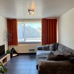 Rent 1 bedroom apartment in Wetteren