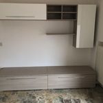 Rent 1 bedroom apartment of 700 m² in Martellago