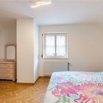 Huur 3 slaapkamer huis in Houthalen-Helchteren