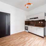 Rent 2 bedroom apartment of 38 m² in Pilsen