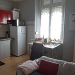 Rent 1 bedroom apartment of 27 m² in Gérardmer