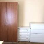 Rent 4 bedroom apartment of 110 m² in Pamplona