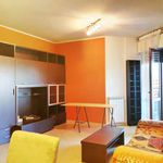 Affitto 1 camera appartamento di 64 m² in Roma