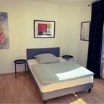 Rent 1 bedroom student apartment of 25 m² in Frankfurt am Main