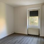 Rent 2 bedroom apartment of 49 m² in Sarreguemines