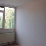 Rent a room of 137 m² in Zoetermeer