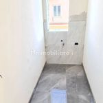Rent 2 bedroom apartment of 60 m² in Scisciano