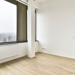 Rent 1 bedroom apartment of 26 m² in Arnhem