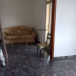 Affitto 6 camera appartamento di 120 m² in Forlì