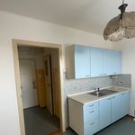 Rent 1 bedroom apartment of 31 m² in Uherské Hradiště