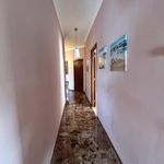 Rent 4 bedroom apartment of 98 m² in Nettuno