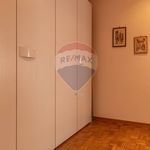 Rent 2 bedroom apartment of 55 m² in Biella