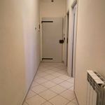 Rent 1 bedroom apartment of 55 m² in Bologna