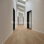 Rent 3 bedroom apartment of 60 m² in Mantova