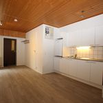 Rent 1 bedroom house of 25 m² in Pori