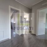 Affitto 3 camera appartamento di 98 m² in Mugnano di Napoli