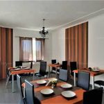 Rent 1 bedroom apartment of 22 m² in Pécs