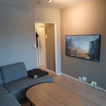 Rent 2 bedroom apartment of 40 m² in Oslo