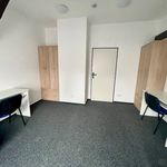 Rent 6 bedroom apartment in Brno