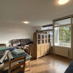Rent 2 bedroom apartment of 54 m² in Arnhem